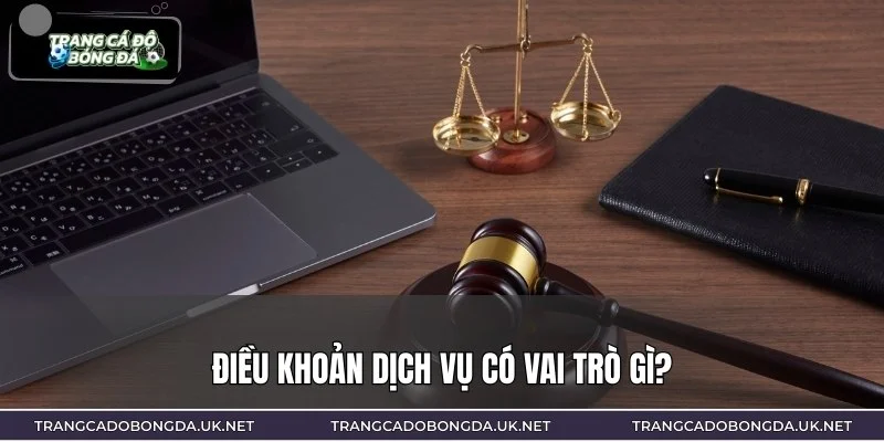 Vai trò quan trọng của điều khoản dịch vụ với người dùng